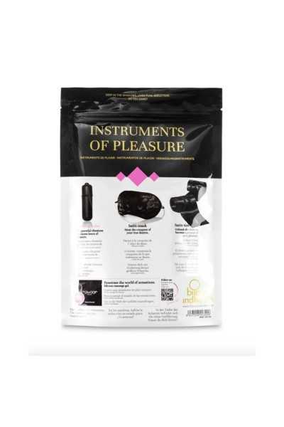 Kit fetish Instruments Of Pleasure viola