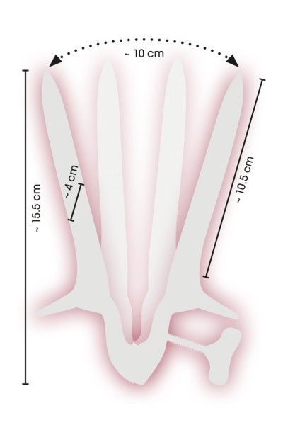 Speculum in acciaio inox