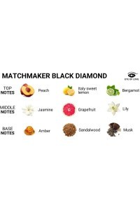 Profumo ai feromoni per uomo Matchmaker Black Diamond 30 ml