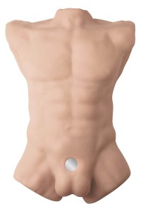 Torso maschile con dildo intercambiabile Apollo L