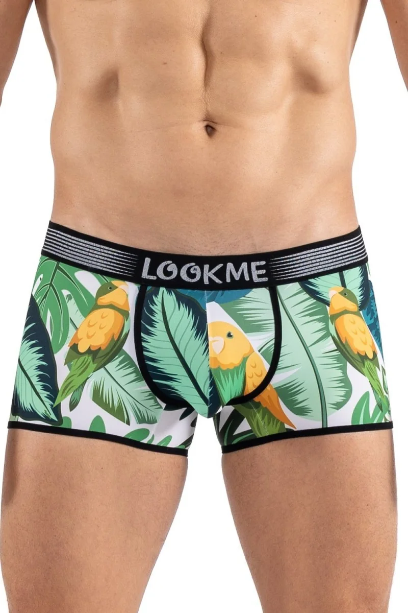 Boxer con stampa di uccelli canori, Bird Singer