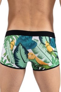 Boxer con stampa di uccelli canori, Bird Singer