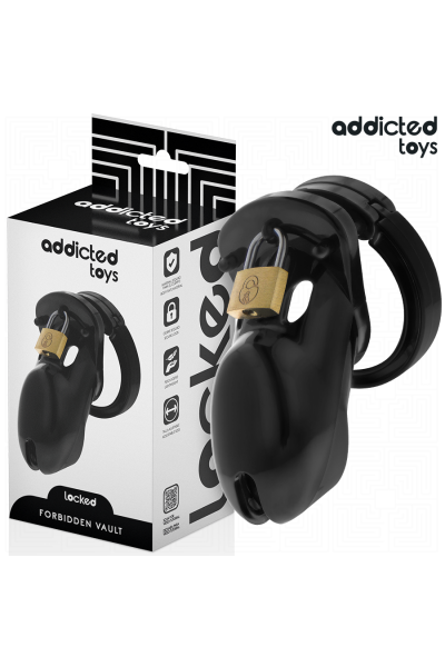 Cage per pene ADDICTED TOYS LOCKED - FORBIDDEN VAULT 10 CM - foto 1 di 7