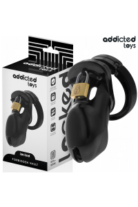 Cage per pene ADDICTED TOYS LOCKED - FORBIDDEN VAULT 10 CM - foto 1 di 7