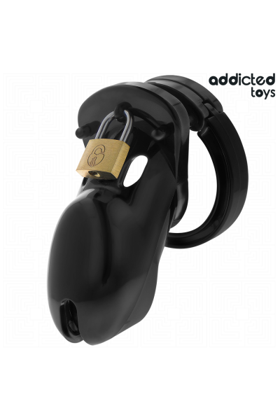 Cage per pene ADDICTED TOYS LOCKED - FORBIDDEN VAULT 10 CM - foto 2 di 7