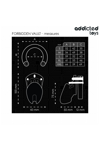 Cage per pene ADDICTED TOYS LOCKED - FORBIDDEN VAULT 10 CM - foto 5 di 7