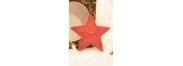 Copricapezzoli a stella in metallo rosso - Be lily