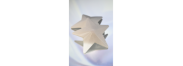 Copricapezzoli a stella in metallo bianco - Be lily